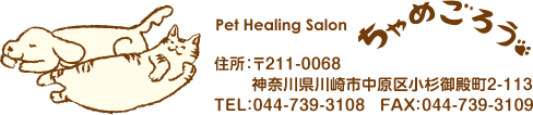 Pet Healing Salon ちゃめごろう - 住所:〒211-0068 神奈川県川崎市中原区小杉御殿町2-113 TEL:044-739-3108 FAX:044-739-3109
