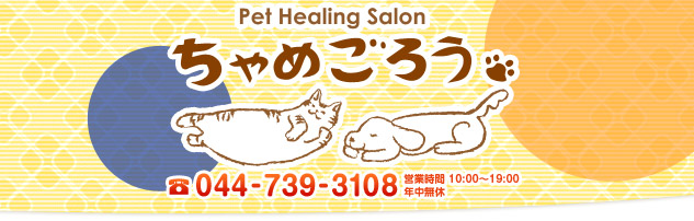 Pet Healing Salon ちゃめごろう  /  電話番号：044-739-3108